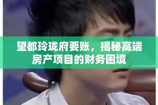 望都玲珑府要账，揭秘高端房产项目的财务困境