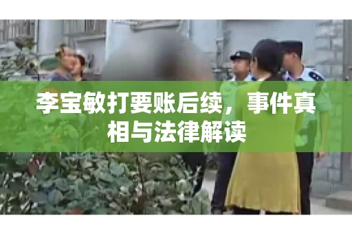 李宝敏打要账后续，事件真相与法律解读