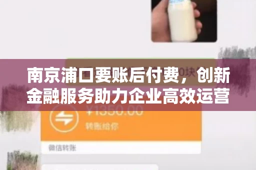 南京浦口要账后付费，创新金融服务助力企业高效运营