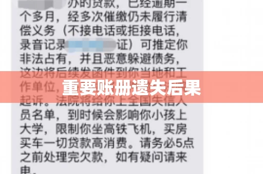 重要账册遗失后果