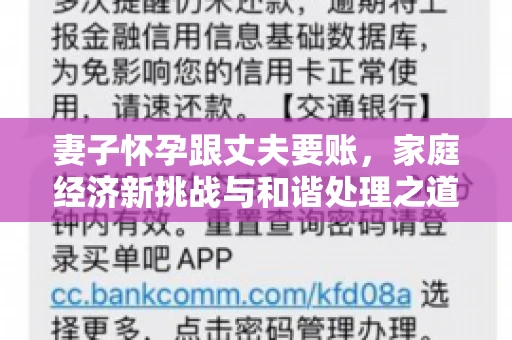 妻子怀孕跟丈夫要账，家庭经济新挑战与和谐处理之道