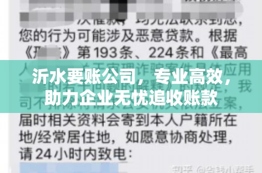沂水要账公司，专业高效，助力企业无忧追收账款