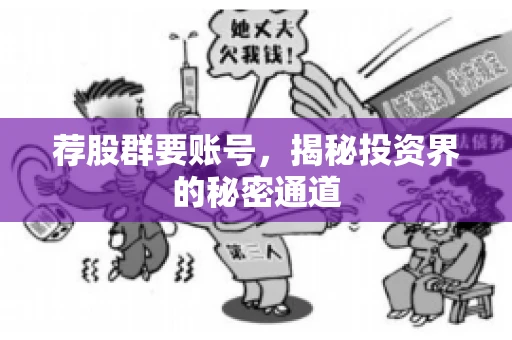 荐股群要账号，揭秘投资界的秘密通道
