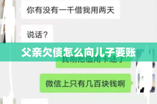 父亲欠债怎么向儿子要账