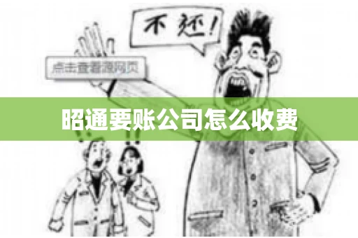 昭通要账公司怎么收费