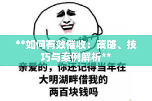 **如何有效催收：策略、技巧与案例解析**