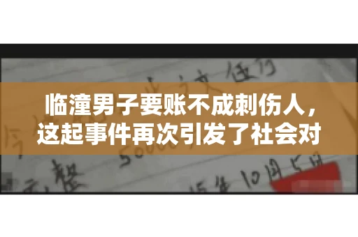 临潼男子要账不成刺伤人，这起事件再次引发了社会对讨债行为的关注。在这个故事中，我们不仅要了解事件的经过，还要思考如何避免类似悲剧的发生。