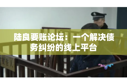 陆良要账论坛：一个解决债务纠纷的线上平台