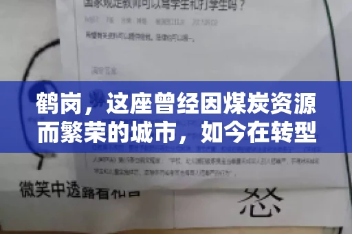 鹤岗，这座曾经因煤炭资源而繁荣的城市，如今在转型中寻求新的发展路径。在这座城市中，有一家名为“鹤岗要账公司”的企业，它以专业的服务，在众多企业中脱颖而出。今天，就让我们一起来了解一下这家公司，看看它是如何在这个充满挑战的市场中立足的。