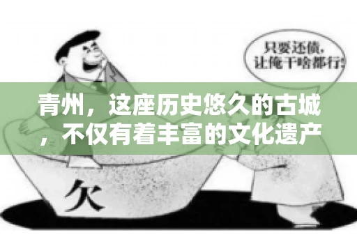 青州，这座历史悠久的古城，不仅有着丰富的文化遗产，还有着繁忙的经济活动。在商业往来中，难免会遇到一些欠款问题，这时候，找一家专业的要账公司就显得尤为重要。那么，青州有帮人要账的吗？答案是肯定的。下面，我就来为大家详细介绍一下青州地区的要账服务。