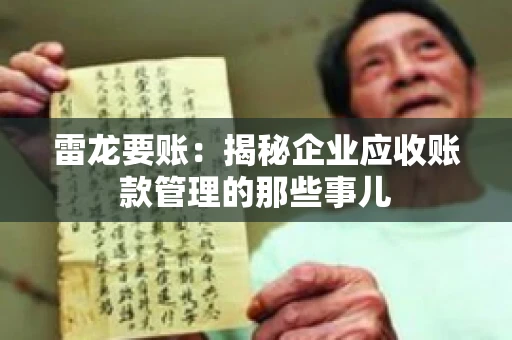 雷龙要账：揭秘企业应收账款管理的那些事儿