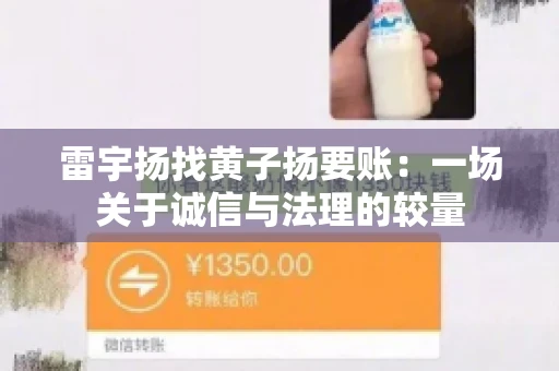 雷宇扬找黄子扬要账：一场关于诚信与法理的较量