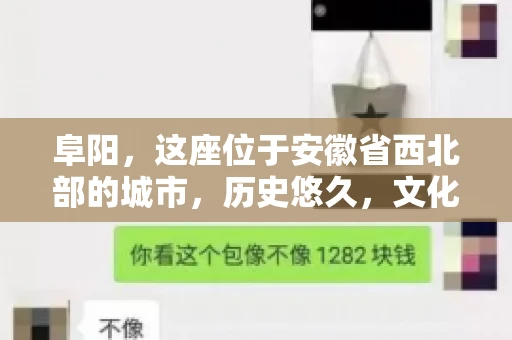 阜阳，这座位于安徽省西北部的城市，历史悠久，文化底蕴深厚。近年来，随着经济的发展，商业活动日益频繁，随之而来的是应收账款的管理问题。那么，阜阳有木有要账公司呢？今天，我们就来聊聊这个话题。