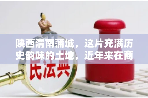 陕西渭南蒲城，这片充满历史韵味的土地，近年来在商业活动中也展现出了其独特的活力。其中，关于“陕西渭南蒲城要账”的话题，成为了不少企业关注的焦点。今天，我们就来聊聊这个话题，看看在蒲城，要账的那些事儿。