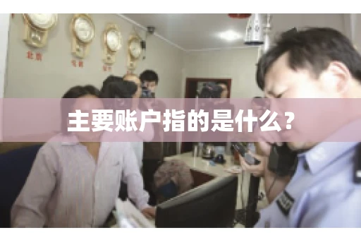 主要账户指的是什么？