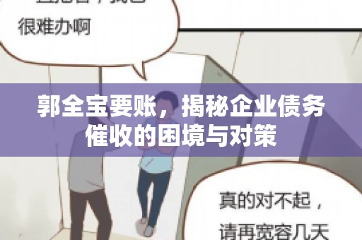 郭全宝要账，揭秘企业债务催收的困境与对策