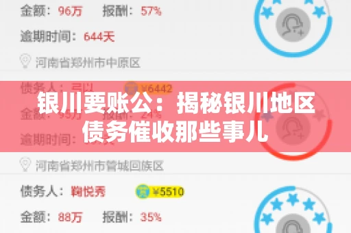 银川要账公：揭秘银川地区债务催收那些事儿