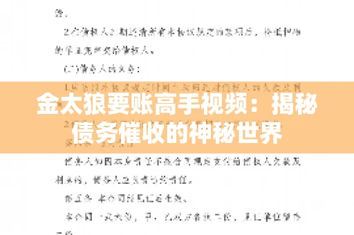 金太狼要账高手视频：揭秘债务催收的神秘世界