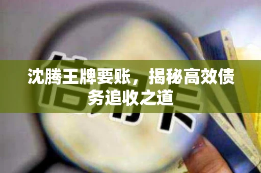 沈腾王牌要账，揭秘高效债务追收之道