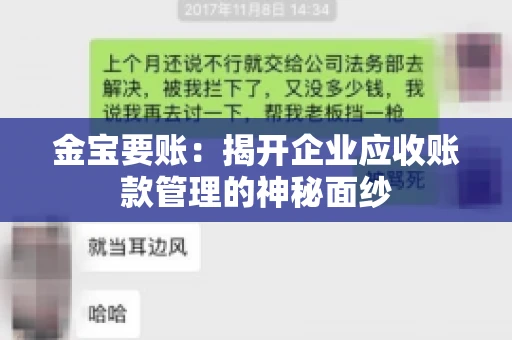 金宝要账：揭开企业应收账款管理的神秘面纱