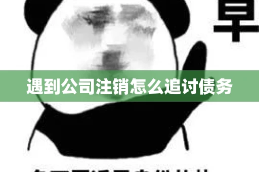 遇到公司注销怎么追讨债务