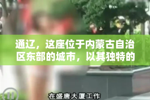 通辽，这座位于内蒙古自治区东部的城市，以其独特的地理位置和丰富的自然资源而闻名。然而，对于许多企业来说，通辽的另一个重要角色可能是其作为要账公司的聚集地。那么，通辽究竟有几家要账公司呢？今天，我们就来聊聊这个话题。