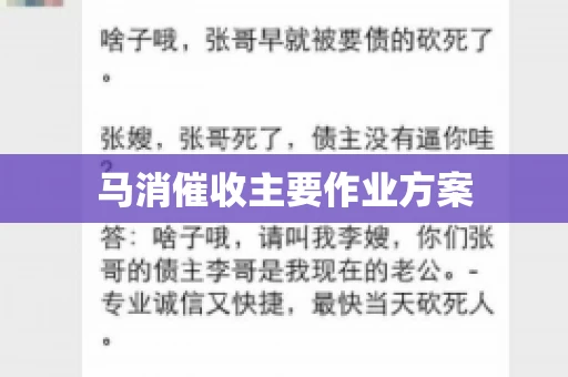 马消催收主要作业方案 马消催收主要作业方案