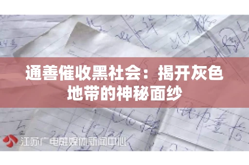 通善催收黑社会：揭开灰色地带的神秘面纱