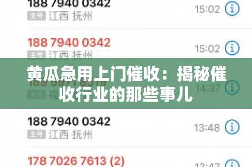 黄瓜急用上门催收：揭秘催收行业的那些事儿