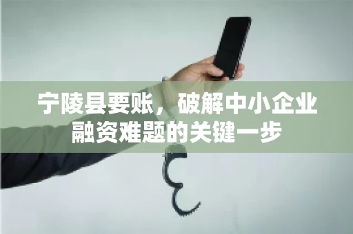 宁陵县要账，破解中小企业融资难题的关键一步