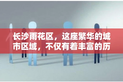 长沙雨花区，这座繁华的城市区域，不仅有着丰富的历史文化，还有着繁忙的金融活动。其中，催收公司作为金融行业的一个重要组成部分，在这里也有着不少的身影。那么，长沙雨花区都有哪些催收公司呢？今天，我们就来聊聊这个话题。